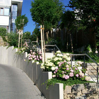 Abgang vom Haus zur Straße mit Mauern befestigt