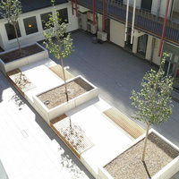 Anlage mit Sitzbänken zwischen Beeten mit Baum