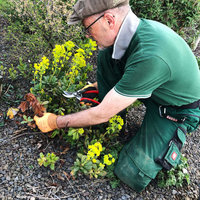 Pflege der Garten- und Landschaftsbau RICHTIG GmbH