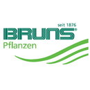 Logo Bruns