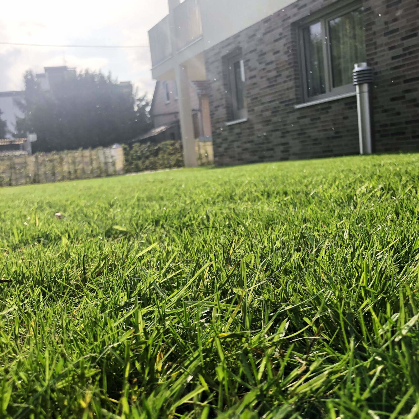 Garten- und Landschaftsbau RICHTIG | Wiesbaden | Leistungen